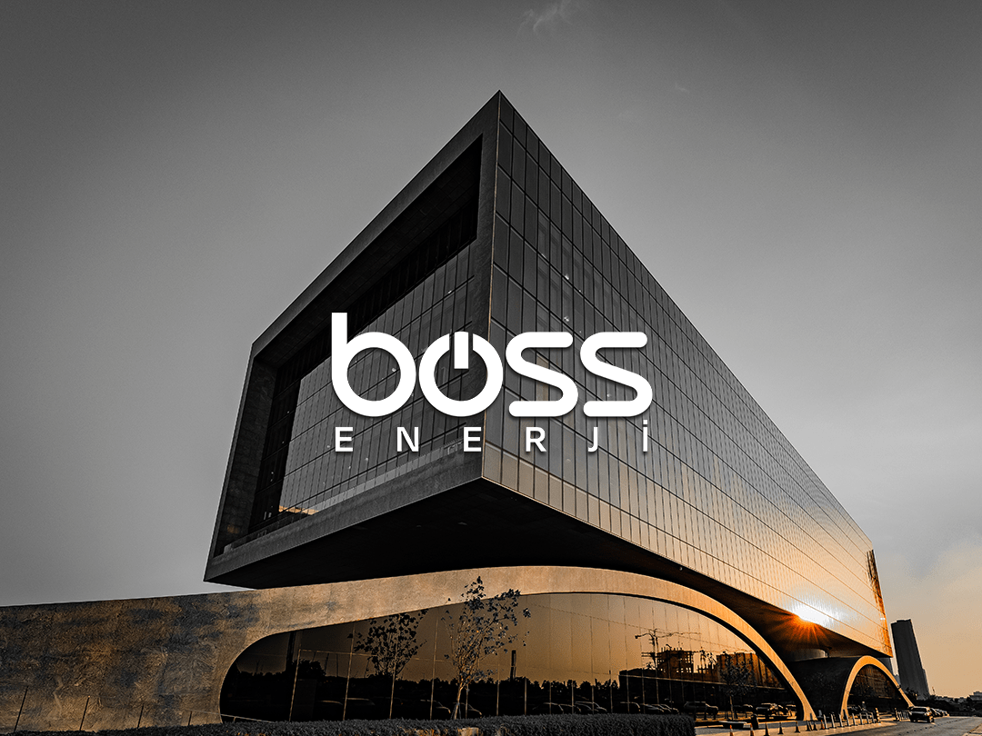 boss hk2 kopya-min (1)